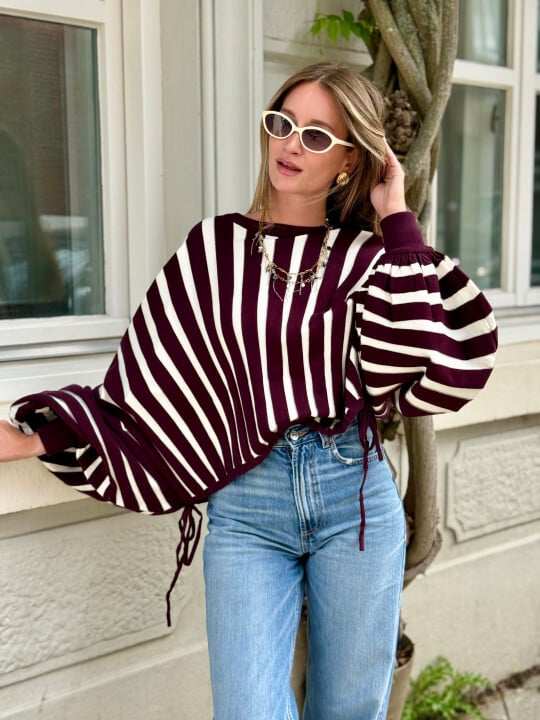 Le pull Palmyre marron