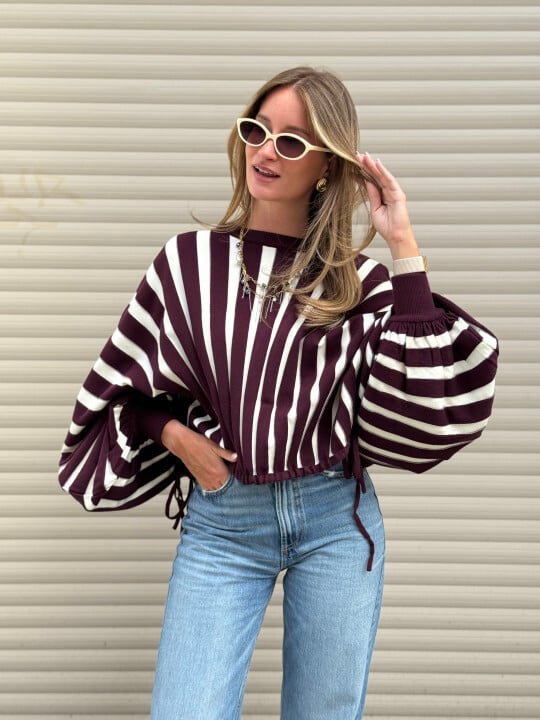 Le pull Palmyre marron
